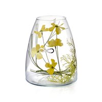 Vase Acca Complemento arredo in Glas V.478VA